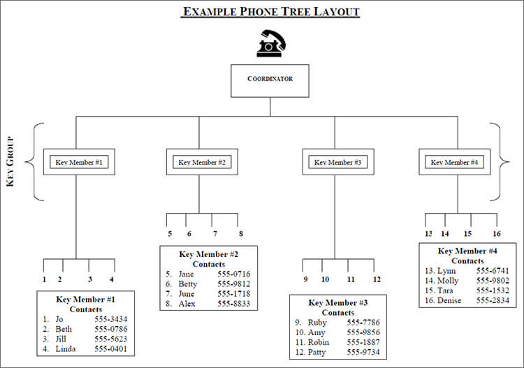 tree diagram template for word